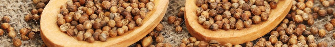 Dhaniya Grinding Machine