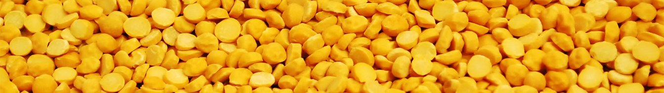 Pneumatic Besan Plant